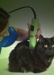 andis cat grooming